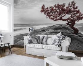 Black and white apartment